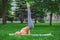 Young attractive woman practicing yoga outdoors