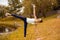 Young attractive yogi woman practicing yoga, doing Utthita Trikonasana exercise, extended triangle pose