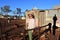 Young Australian girl  visiting at Gwalia gold mine ghost town in Western Australia