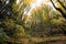 Young autumn forest with tall trees with yellow leaves