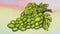 Young Bacchus riding a lioness and green grapes animation 2019 MP4