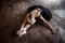 Young ballerina in a black dancing suit is posing in a loft studio