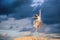 Young ballerina in a light long white dress flies in a jump