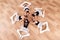 Young ballerinas perform various choreographic exercises lying on the floor.