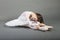 Young ballet dancer wearing white tutu sitting over grey background