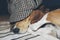 Young Beagle sleeping on a carpet, with a fun and classic British hat