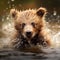 a young bear cub splashing water while playing in the river