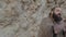 A young bearded man dressed as a shaman with a staff in his hands stands on a lonely rock in the middle of the desert