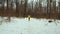 Young bearded man in yellow coat running in forest on cold winter day