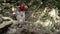 Young beautiful barefoot woman with malamute dog walks in mountain wood on the river