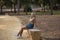 Young, beautiful, blonde woman with green eyes, wearing a T-shirt, denim skirt, sitting on a stone bench, looking at the camera