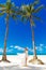 Young beautiful bride in white wedding dress under the palm tree