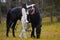 A young beautiful brunette rider next to a black horse in full ammunition,