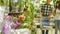 Young beautiful couple with supermarket trolley are walking and choosing indoor plant in the shopping mall. Woman is