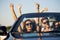 Young beautiful dark-haired young women with friends in sunglasses smile and ride in a black cabriolet on the road