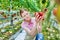 Young beautiful farmer picking tomatoes in greenhouse