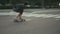 Young beautiful female hipster riding on the street on skateboard or longboard at day