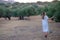 Young beautiful girl in a dress near the olive tree