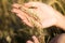 Young beautiful girl in the field with ears in the hand