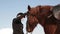 Young beautiful girl jockey caring for a horse in winter