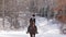 Young beautiful girl jockey riding a horse in winter forest