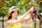 Young beautiful girl picking mellow grape in sunny day in Italy