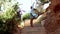 Young beautiful girl on stone stairs