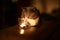 Young beautiful gray cat near burning candle in darkness. Home cosy concept.