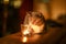 Young beautiful gray cat near burning candle in darkness. Home cosy concept.