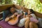 Young beautiful and happy mixed ethnicity couple in hipster style chilling outdoors playing guitar relaxed at tranquil garden