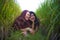 Young beautiful latin woman and her attractive red hair girlfriend both girls enjoying Summer holidays together on rice field