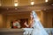 Young beautiful luxurious woman in wedding dress posing in luxurious interior. Bride with huge wedding dress in majestic manor