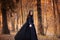 Young beautiful and mysterious woman in woods, in black cloak with hood, image of forest elf or witch