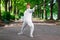 Young beautiful rapier fencer woman staying in park alley