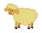 Young and beautiful sheep in profile on a white background - vector