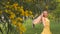 Young beautiful smiling woman in spring Australian Golden wattle trees.