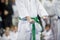 Young, beautiful and successful karate kid in karate position. S