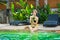 Young beautiful teenage girl sitting near exotic swimming pool with coconut and posing in water