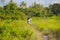 Young beautiful tourist or nomad traveler black afro American woman riding motorbike in tropical field wearing traditional Asian h