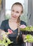Young beautiful woman with a braid seedling petunia in boxes in the spring