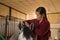 Young and beautiful woman braiding the mane of a horse in a stable. Horse riding concept, animals, hairstyles, care, horsewoman