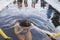 young beautiful woman dives into an ice hole on a winter day