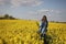 Young beautiful woman in a field with yellow blooming rapeseed. girl in yellow floral field, rapeseed plantation, summer vacation