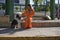 Young and beautiful woman in an orange dress, playing and posing with her bobtail dog, very smiling and happy. Concept beauty,