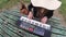 Young and beautiful woman playing synthesizer on the table of a park, France