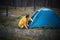 Young beautiful woman puts up a tent in the forest, camping, solo travel, nature-nature concept