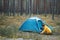 Young beautiful woman puts up a tent in the forest, camping, solo travel, nature-nature concept