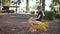 Young beautiful woman ride toy horse in a park playground