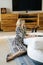 Young beautiful woman sitting on the floor working on laptop.