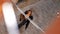 Young beautiful woman stands on street of old city and calls on phone. Tourist